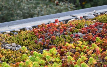 the cost of Upper Blainslie green roof installation