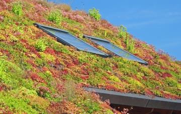 Upper Blainslie living roof systems